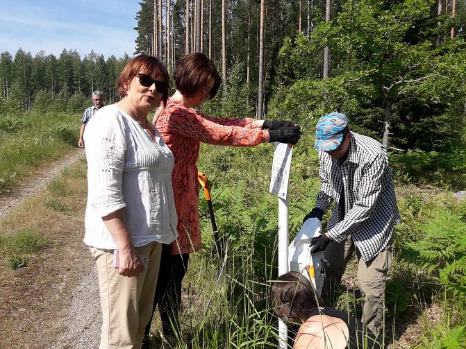 Kuvassa kolme henkilöä pystyttää opastaulua Punkaharjun tutkimuspuistossa.