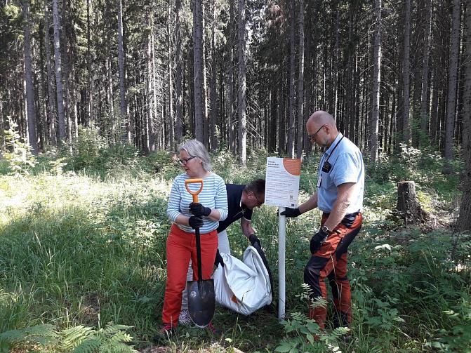 Kuvassa kolme henkilöä pystyttää opastaulua Punkaharjun tutkimuspuistossa.