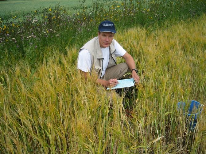 Tutkija keskellä viljapeltoa muistiinpanoja tekemässä.