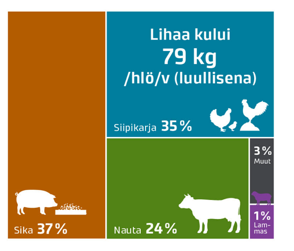 Infograafissa kuvattu lihan kulutus Suomessa vuonna 2020. Lihaa kului yhteensä 79 kiloa henkeä kohde. Määrästä sikaa 37 %, nautaa 24 %, siipikarjaa 35 %, lammasta 1 % ja muita 3 %.