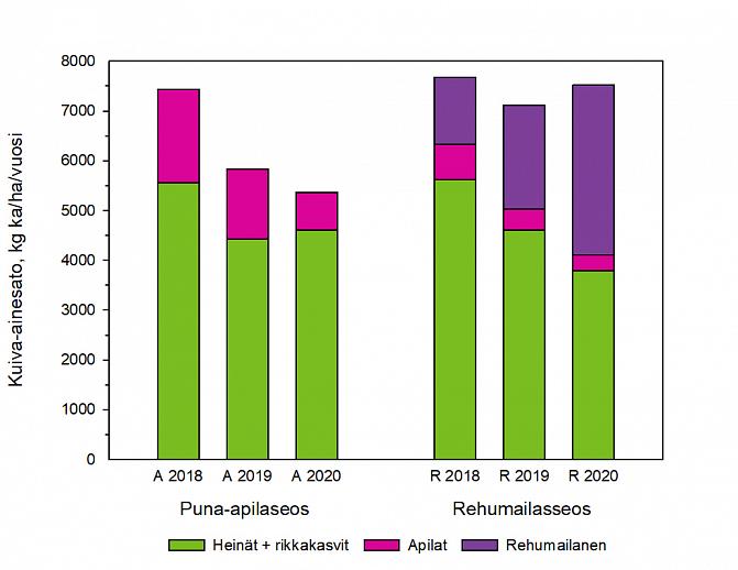 Puna-apilaseoksen sato laski toisena ja kolmantena vuonna. Rehumailasseoksen sato säilyi melko samana jokaisena vuonna, koska rehumailasen osuus nousi kuivina kesinä.