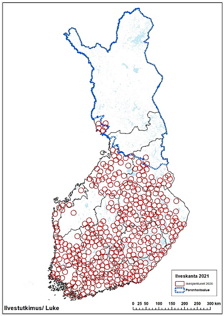 Finlandskartan visar förekomsten av lodjurskullar år 2020.