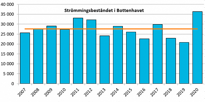 Antal strömmingar enligt ekolodsundersökningar i Bottenhavet 2007–2020 (miljoner individer).