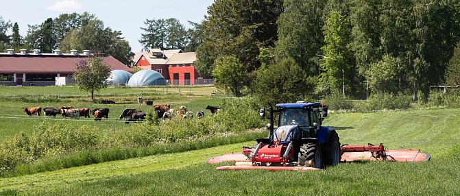 Kuvassa tehdään säilörehua. 