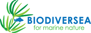 BIODIVERSEA logo
