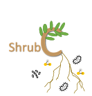 Logo containing text shrubC. The C looks like a shrub with leaves, roots and plant soil microbial interactions.