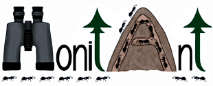 monitant-logo