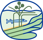 Hidden logo