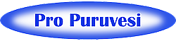 Pro Puruvesi -logo