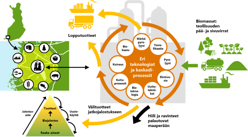 Visuaalinen kuvaus siitä miten alueellisesti hajautettu tuotantojärjestelmä voisi tulevaisuudessa toimia. Kuvassa näkyy erilaisia biomassalähteitä teollisuuden pää- ja sivuvirroista, jotka sijaitsevat 50km säteellä biojalostamosta. Biojalostamon sisällä on useita eri teknologioita ja kaskadiprosesseja: biokaasu, märkäpyrölyysi, torrefikaatio, pyrolyysi, ekstruusio, uuttotekniikat, bioteknologia, kuituprosessit ja kuivaus.