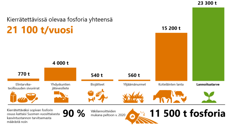 Infografiikassa kerrotaan, että kierrätettävissä olevaa fosforia on yhteensä 21,1 miljoonaa kiloa vuodessa. Se koostuu elintarviketeollisuuden sivuvirroista (770 t), yhdyskuntien jätevesilietteestä (4000 t), biojätteestä (540 t), ylijäämänurmista (560 t) ja kotieläinten lannasta (15200 t). Kasvintuotannon lannoitustarve on 23,3 miljoonaa kiloa vuodessa. Kierrätettäväksi sopivan fosforin osuus kattaisi vuosittaisesta kasvintuotannon tarpeesta n. 90 %. Väkilannoitteita käytettiin vuonna 2020 11,5 milj. kiloa.