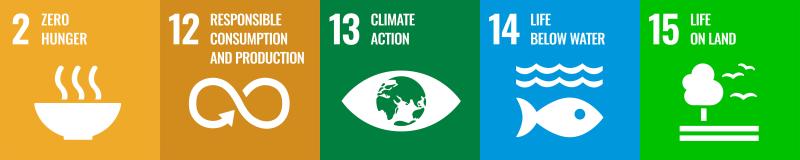 2 Zero Hunger, 12 Responsible consumption and production, 13 Climate action, 14 Life below water, 15 Life on land