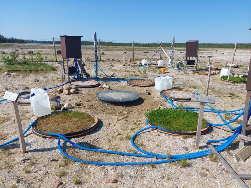 Lysimetrikokeissa selvitetään jätevesilietekompostin ja biohiilen vaikutuksia biopeitossa kasvavien kasvien kasvuun ja peittokerroksen läpi kaivannaisjätteeseen valuvan suotoveden määrään. Etualalla vasemmalla lysimetrissä kasvualustana on moreeni ja komposti, oikealla olevaan kasvualustaan on lisätty kuusibiohiiltä. Biohiilen vaikutus kasvien itämiseen ja kasvuun on silminnähtävä. 