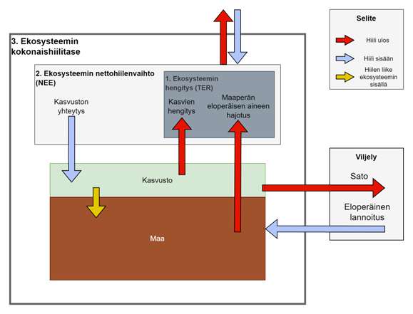 Kuvassa on esitettynä ekosysteemitason kokonaishiilitase ja osat, joista se muodostuu kuvastaen mitä kaikkea mittauksissa huomioitava, jotta voidaan laskea vuositaseita 