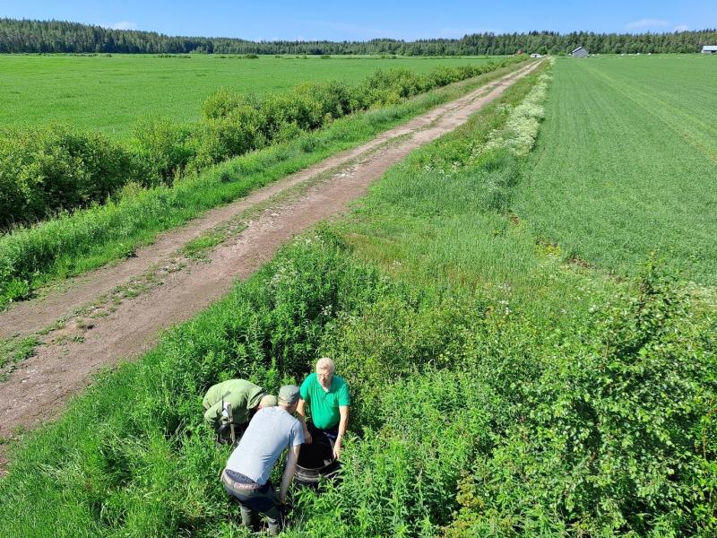 Säätösalaojakaivoja on paljon erilaisia ja omien kaivojen tunteminen on lähtökohtana oikeaoppiselle vesienhallinnan toteuttamiselle 