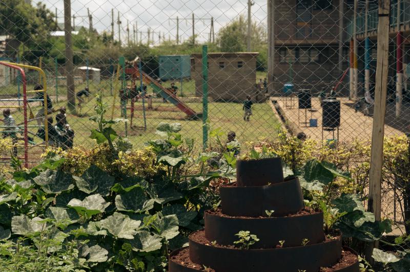 HealthyFoodAfrica-hankkeen Nairobin slummialueelle perustettu koulupuutarha, jonka takana näkyy koulun pihaa ja lapsia.
