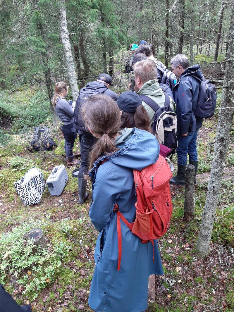 Retkeilijöitä suolla