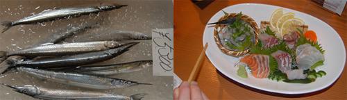 Nokkakalat Japanissa