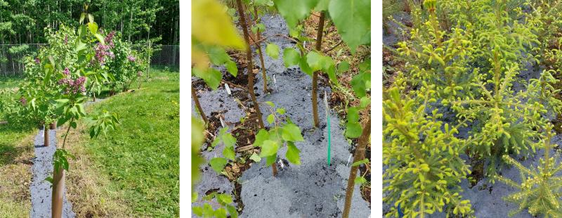 Nestemäisen katteen käyttökohteet