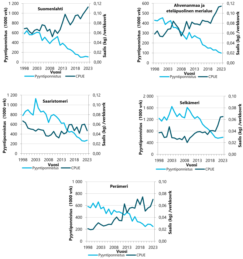 Hauen kaupallisen kalastuksen verkkoyksikkösaalis on ollut selvässä nousussa Suomenlahdella, Ahvenanmaalla ja Perämerellä, melko korkealla Saaristomerellä ja nousussa Selkämerellä viime vuosina.