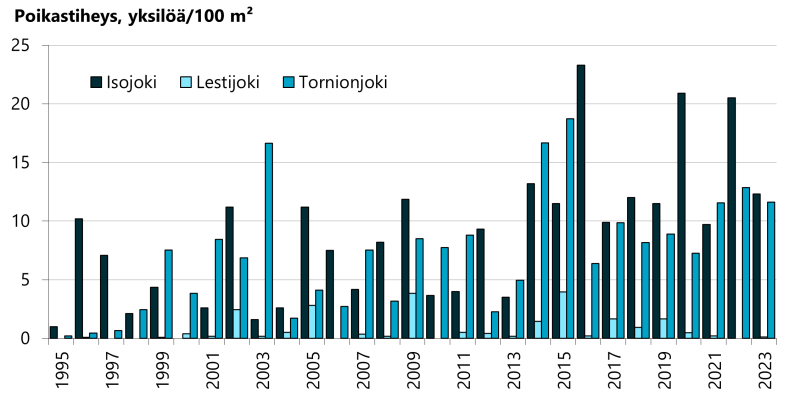 Isojoessa poikastiheys on viime vuosina vaihdellut noin 10–20 poikasen välillä per 100m2, ja kannassa on vahvistuva suuntaus. Lestijoella tiheydet ovat enintään muutaman poikasen luok-kaa per 100 m2, eikä vahvistumista ole havaittavissa. Tornionjoen sivujoissa viime vuosien ti-heydet ovat vaihdelleet lähellä 10 poikasta per 100 m2 ja kanta on hieman vahvistunut.