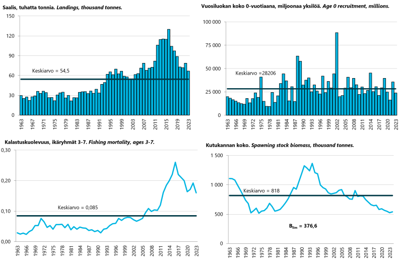 Kuva 3. Silakkakannan kehitys Pohjanlahdella: kaupallinen saalis, vuosiluokan runsaus, kalastuskuolevuus ikäryhmissä 3–7 ja kutukannan biomassa.