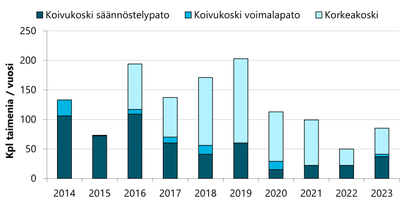 Kalateistä nousseiden meritaimenten määrä on vaihdellut 50-200 taimenen välillä vuosittain. Päinvastoin kuin lohet, suurin osa meritaimenista on noussut Korkeakosken kalatien kautta, joskin kokonaismäärä on pieni.