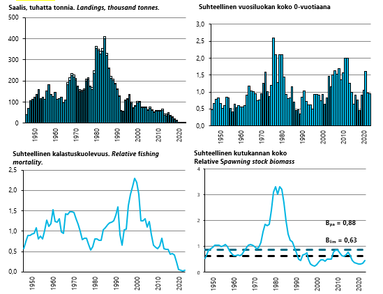 Itäisen turskan saaliit ovat olleet viime vuosina hyvin pienet. Myös vuosiluokat ovat olleet pie-niä useiden vuosien ajan. Kalastuskuolevuus on pienentynyt hyvin vähäiseksi, mutta silti itäisen turskan kutukannan koko alittaa kaikki viitearvot.