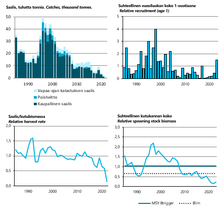 Läntisen turskan saaliit ovat pienentyneet lähes olemattomiin, sen vuosiluokat ovat olleet pit-kään pääosin keskimääräistä pienempiä. Läntisen turskan kutukannan koko alittaa kaikki viitearvot.