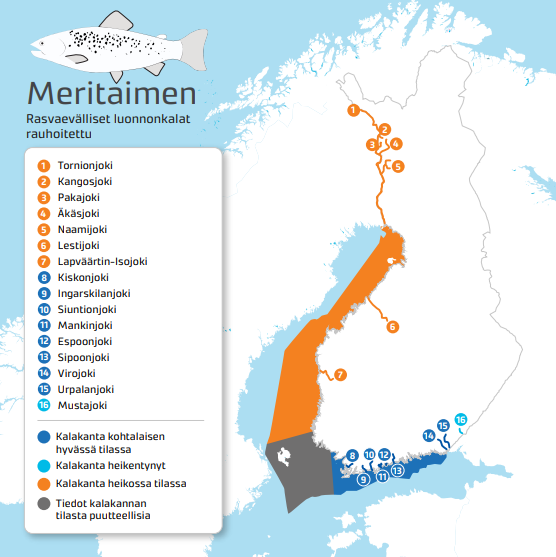 Meritaimenen rasvaevällisten luonnonkantojen esiintymisalueet.