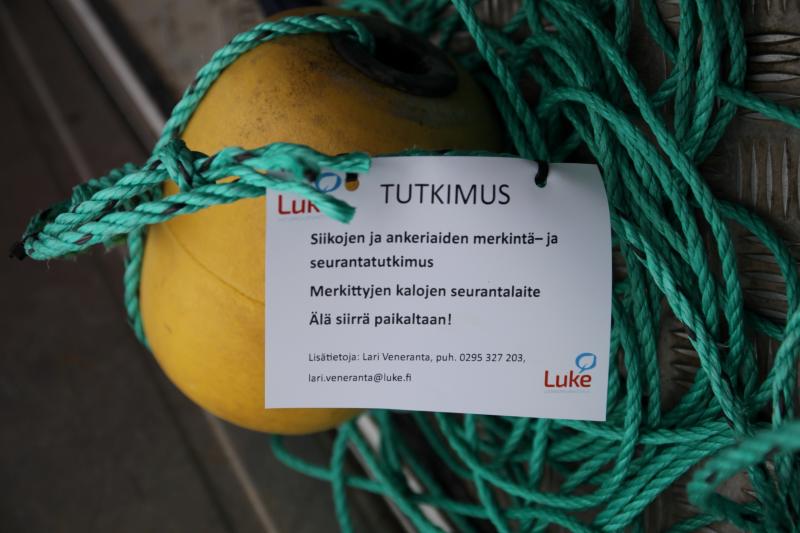 Keltainen pampula, joka toimii tutkimuslaitteen merkkinä