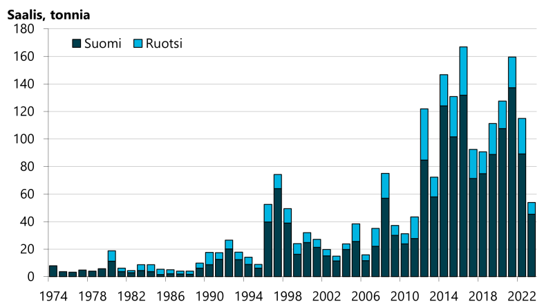 Tornionjoen lohisaalis vuonna 2023 oli alle puolet edellisvuoden saaliista ja myös kymmenen edellisvuoden saaliiden keskiarvosta (noin 120 tonnia).