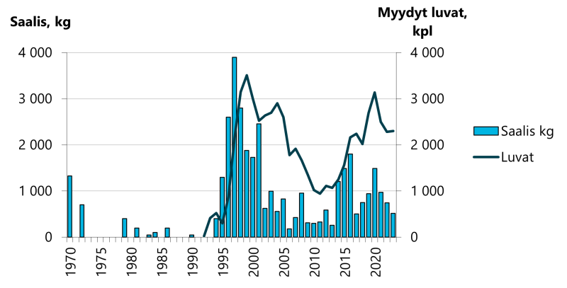 Simojoen lohisaalis on vaihdellut 750 ja 1500 kg välillä. Vuonna 2022 saalis oli hieman muutamaa edellisvuotta pienempi. Myös myytyjen kalastuslupien määrä hieman pieneni.