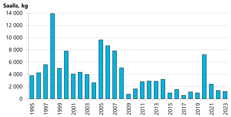  Lohisaalis on ollut viimeisen viitenä vuotena keskimäärin 1500 kiloa lukuunottamatta vuotta 2020, jolloin saalis oli 7200 kiloa. Lohisaalis kalastetaan pääosin Korkeakosken- ja Langinkosken haaroista voimalaitosten alapuolisilta jokialueilta.