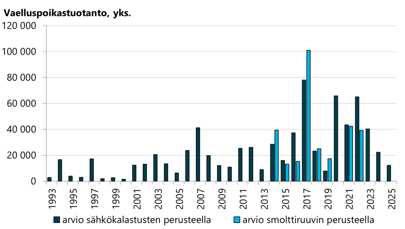 Kymijoen vaelluspoikasmäärissä oli kasvava suuntaus vuoteen 2022 asti, mutta sen jälkeen poikasmäärä on pienentynyt. Vuonna Vuonna 2022 poikasia lähti  merelle oli noin 65000 kpl. Vuosina 2024 ja 2025 vaelluspoisia ennustetaan tulevan Kymijoesta keskimäärin 17 000 kpl. Arvio perustuu sähkökoekalastuksissa havaittuihin jokipoikastiheyksiin ja on epävarma. Valtaosan poikasista arvioidaan syntyvän Langinkoskenhaarassa, missä poikastuotantoaluetta on vain reilu 20 ha.