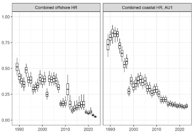 Avomerikalastuksen synnyttämä kuolleisuus oli noin 5% vuosina 2019-2021 ja noin 2% vuosina 2022-2023, jolloin avomerellä oli vain vetouistelua. Myös rannikolla kalastuskuolevuus on asteittan vähentynyt, mutta on ollut hieman yli 10% viimeisenä viitenä vuotena.