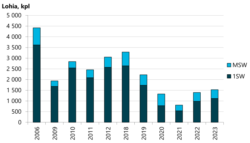  Nousulohien määrä Näätämöjoen Kolttakönkään kalatieseurannassa on ollut 2020-luvulla pienempi kuin 2010-luvulla.