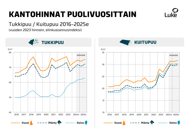 kantohinnat infograafissa