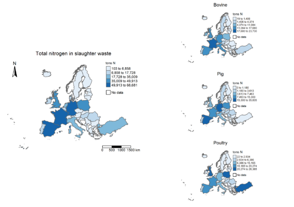 Nitrogen of slaughter waste in EU.