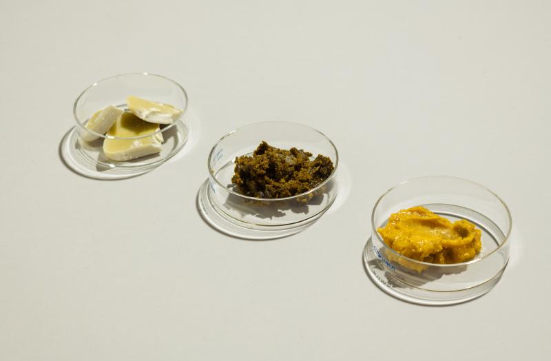 Puolukasta uutettuja biovahoja petrimaljoilla