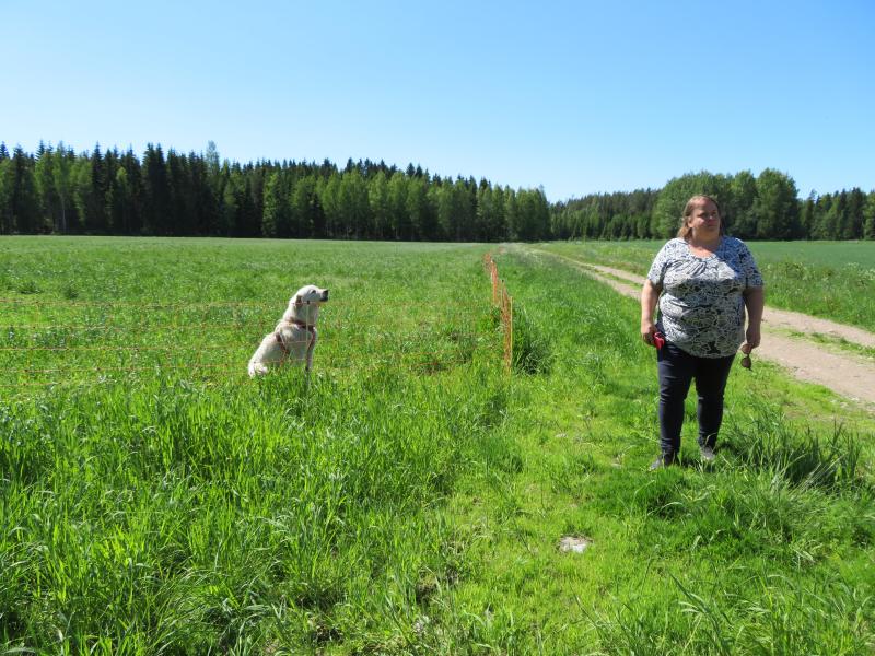 Laumanvartija seuraa aidan vierellä seisovaa Petra Frondeliusta, mutta ei ylitä aitaa ja jätä vahdittavia lampaita.