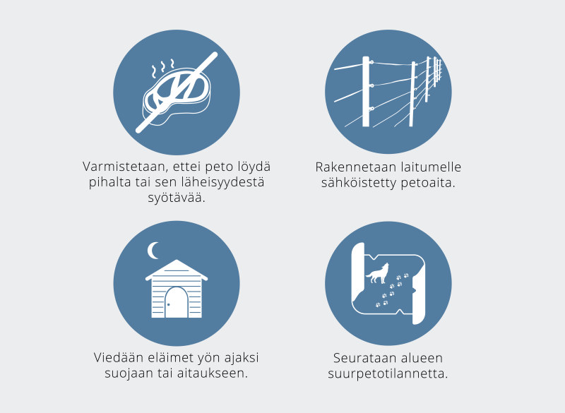 Kyselyvastaajien neljä yleisintä tapaa ennaltaehkäistä vahinkoja. Varmistetaan, ettei peto löydä pihalta tai sen läheisyydestä syötävää. Rakennetaan laitumelle sähköistetty petoaita. Viedään eläimet yön ajaksi suojaan tai aitaukseen. Seurataan alueen suurpetotilannetta.