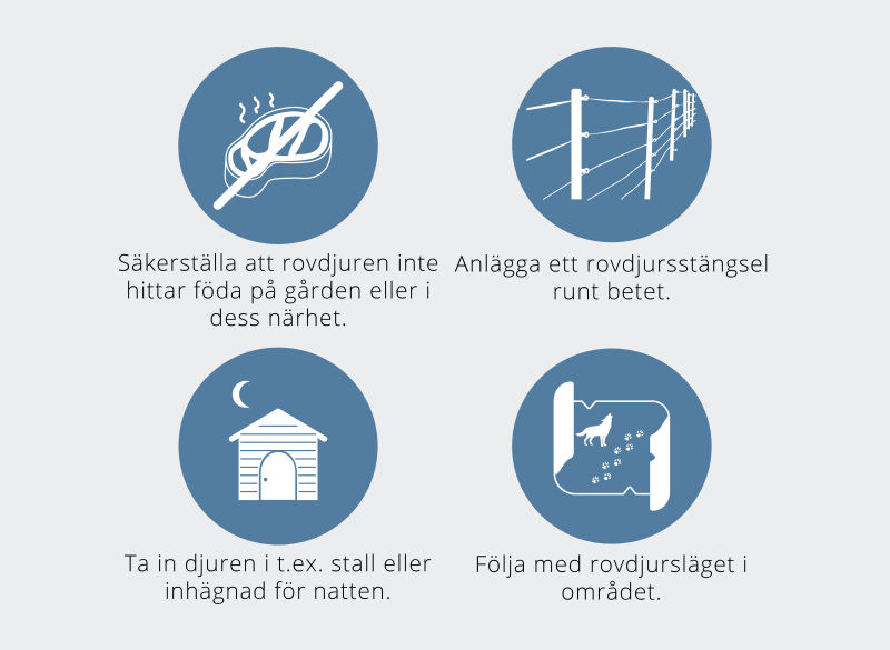 De vanligaste metoderna för att skydda tamdjur mot stora rovdjur Säkerställa att rovdjuren inte hittar föda på gården eller i dess närhet. Anlägga ett elstängsel (rovdjursstängsel) runt betet. Ta in djuren i t.ex. stall eller inhägnad för natten. Följa med rovdjursläget i området.