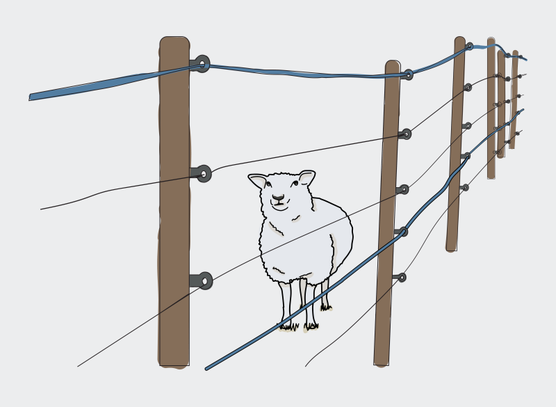 Teckning av ett får bakom ett stängsel.