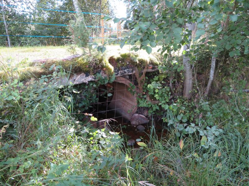 Kuvassa näkyy ojan yli kulkeva silta. Sillan alla oleva rumpu on peitetty verkolla, jotta susi ei pääse laitumelle ojan kautta.
