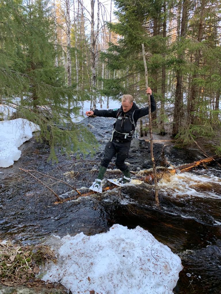 A game warden is balancing on snowshoes on a log floating on a river.