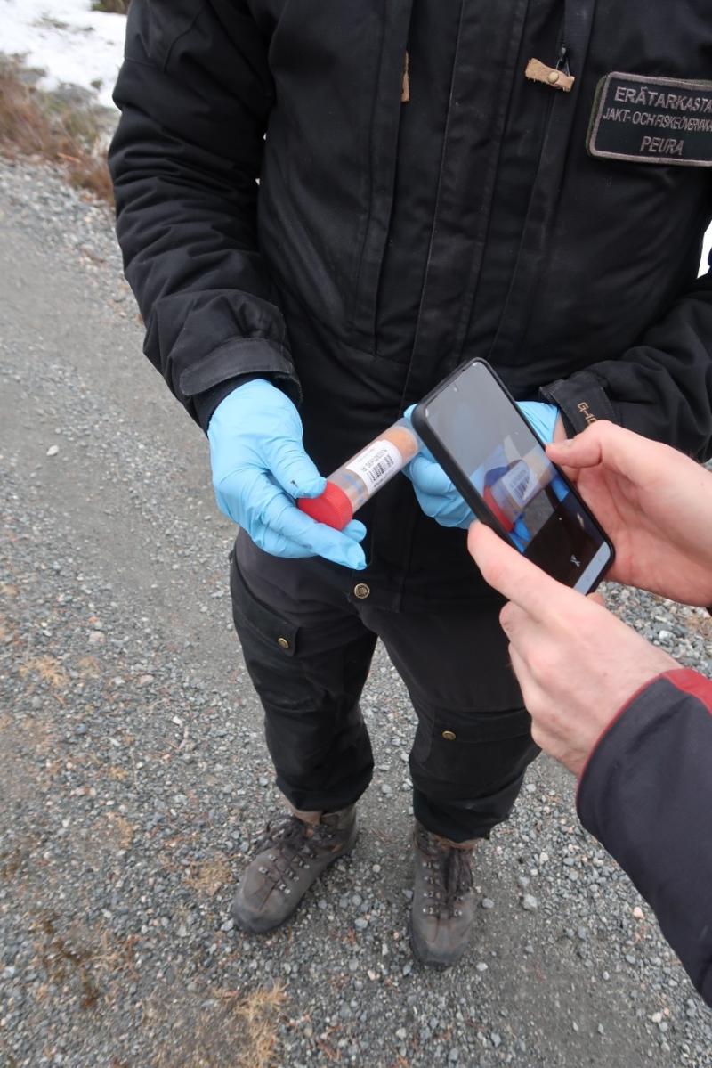 Yksi henkilö pitää kädessään punakorkkista näytepurkkia muovihanskat kädessään. Toinen henkilö ottaa puhelimella valokuvaa näytepurkin sivussa olevasta viivakoodista. Kuva on otettu ulkona metsäautotiellä.