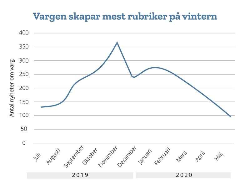 Vargen skapar mest rubriker på vintern.