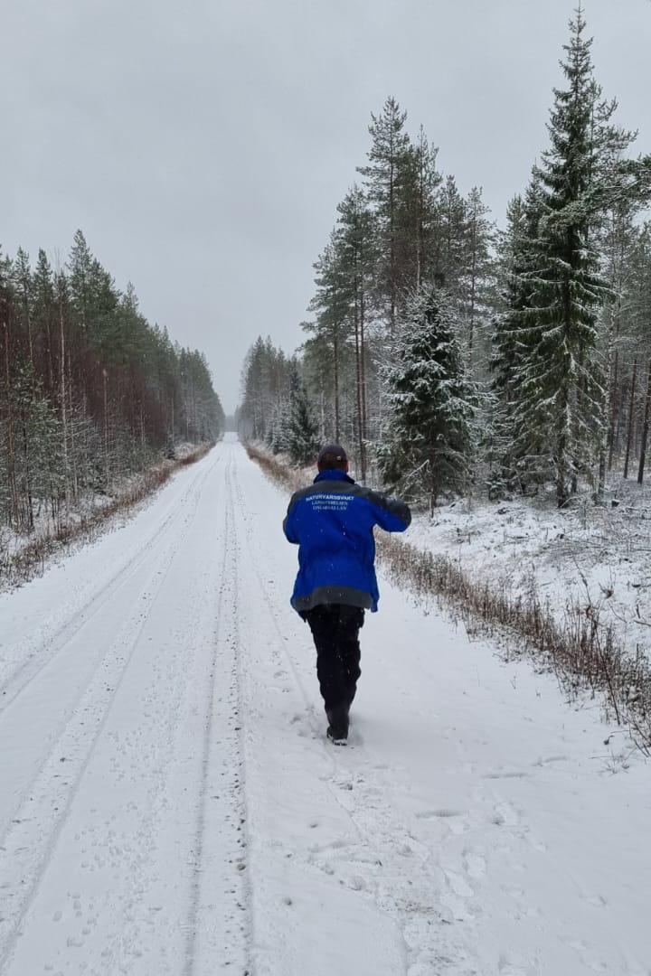En person går på en skogsväg.