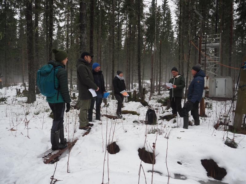 IKEA visits research forests with Luke researchers